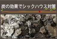 sp3column-center-sumi